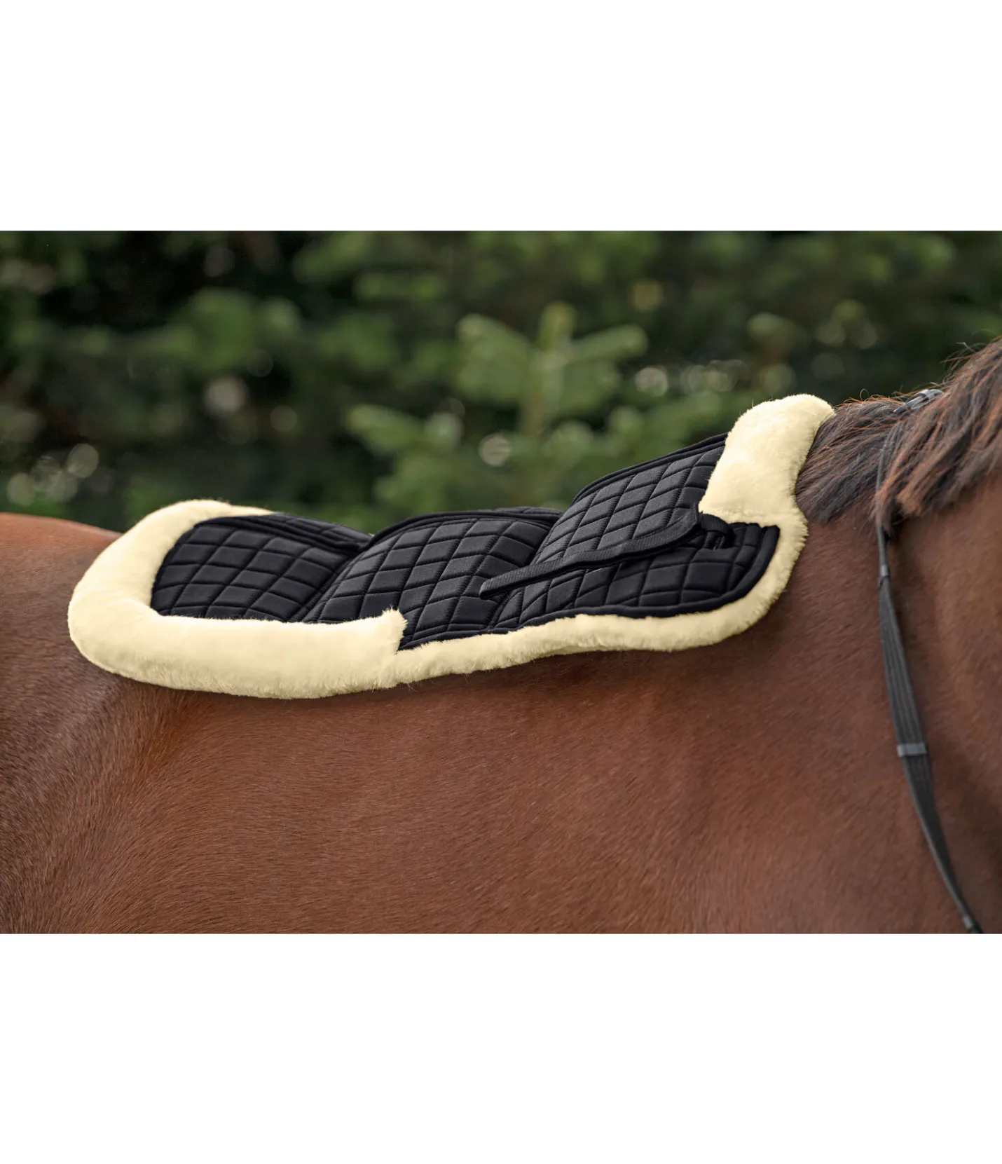 SHOWMASTER Amortisseur correcteur en polaire Teddy nature New