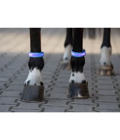 STEEDS Bandes LED Loom bleu