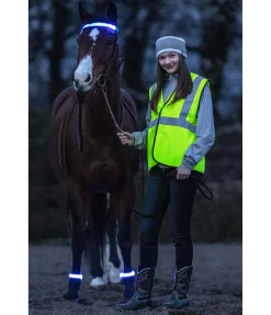 STEEDS Bandes LED Loom bleu