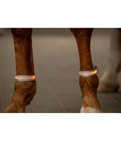 STEEDS Bandes LED Loom brume Outlet