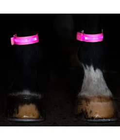 STEEDS Bandes LED Loom pink Discount