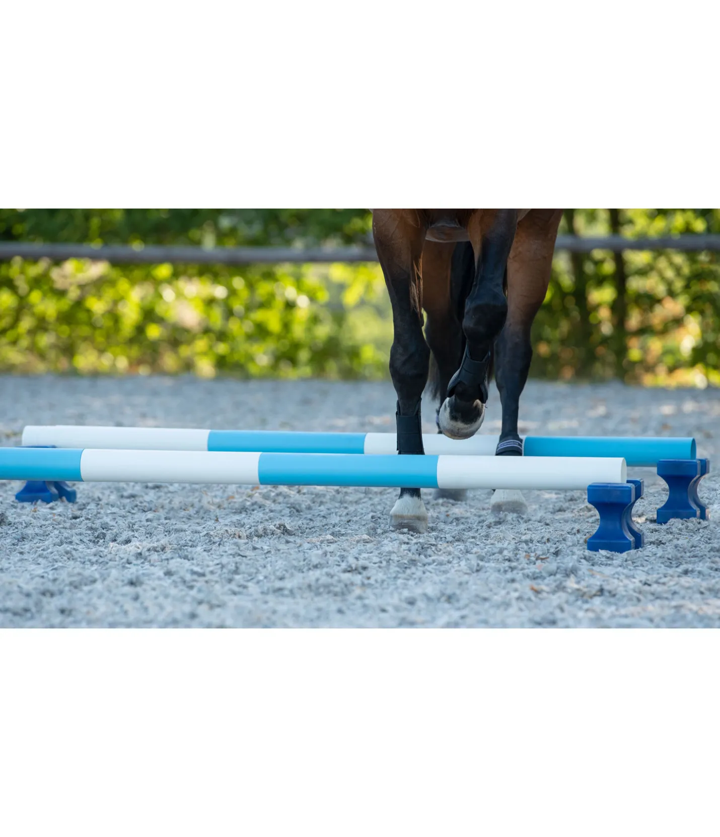 Barnotti Barre ColourMix blanc Sale