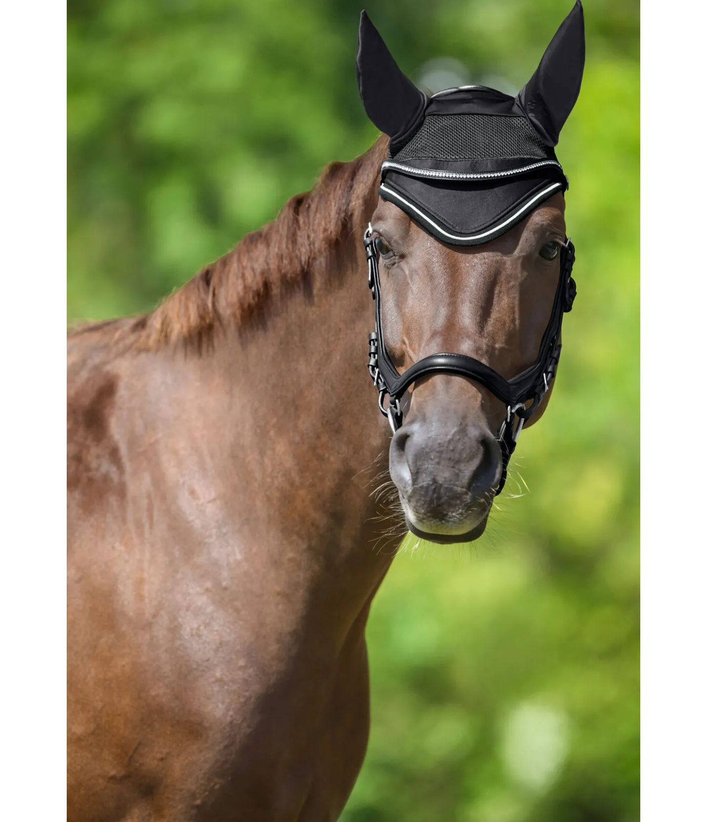 Felix Bühler Bonnet anti-mouches Sporty Standard noir New
