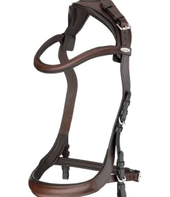 Felix Bühler Bridon Anatomical Vision Space brun Hot