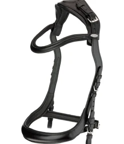 Felix Bühler Bridon Anatomical Vision Space noir New