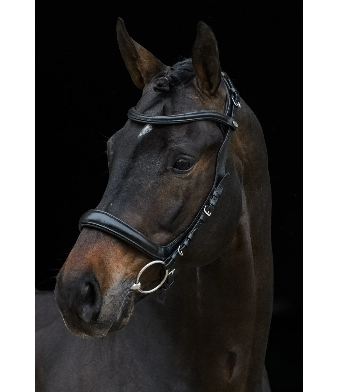 Felix Bühler Bridon Anatomical Vision Space noir New
