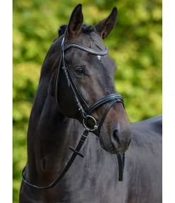 SHOWMASTER Bridon Beauty noir