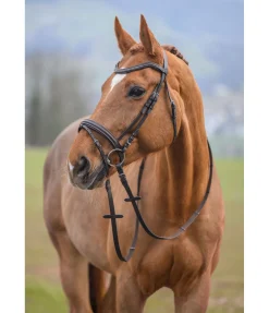 SHOWMASTER Bridon Beauty marron foncé Clearance