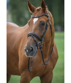 SHOWMASTER Bridon Candy noir/argenté New