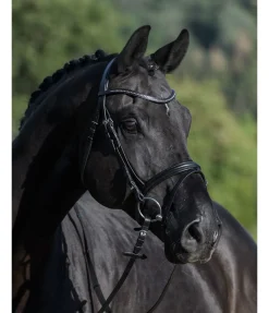SHOWMASTER Bridon Panama noir