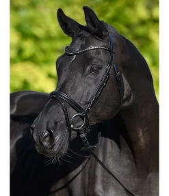 SHOWMASTER Bridon Panama noir