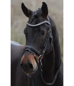 SHOWMASTER Bridon Rosalinde noir Discount