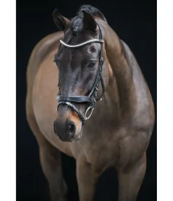 CLARIDGE HOUSE Bridon avec noseband amovible Berlin noir/argenté