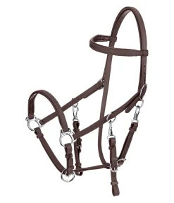 TWIN OAKS Bridon de randonnée imperméable Eifel marron foncé Online