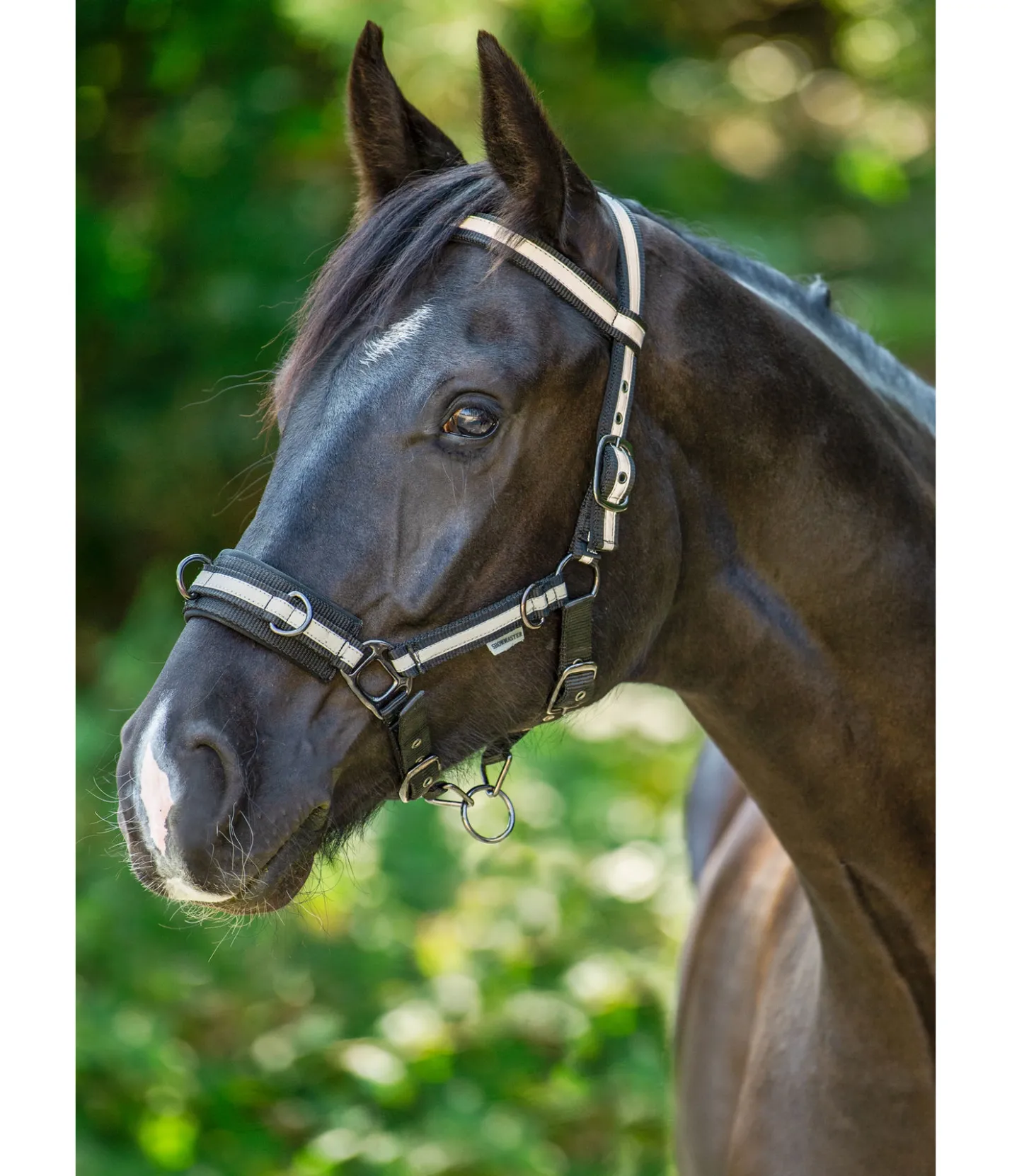 SHOWMASTER Bridon multifonction noir Best