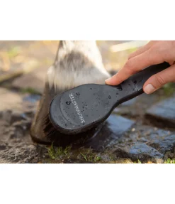 SHOWMASTER Brosse à sabots Handle noir New