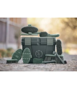 SHOWMASTER Brosse à sabots Soft thé vert New