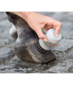 SHOWMASTER Brosse à sabots avec réservoir gris Discount