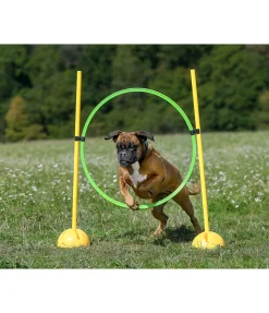 sugar dog Cerceaux d'agility vert Outlet