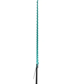 SHOWMASTER Chambrière Smart aqua