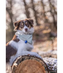 STEEDS Écharpe réfléchissante pour chien argenté