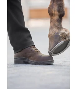 EQUESTRIAN WORK WEAR Chaussures d'écurie ou de travail à coque acier Adventure marron foncé Outlet