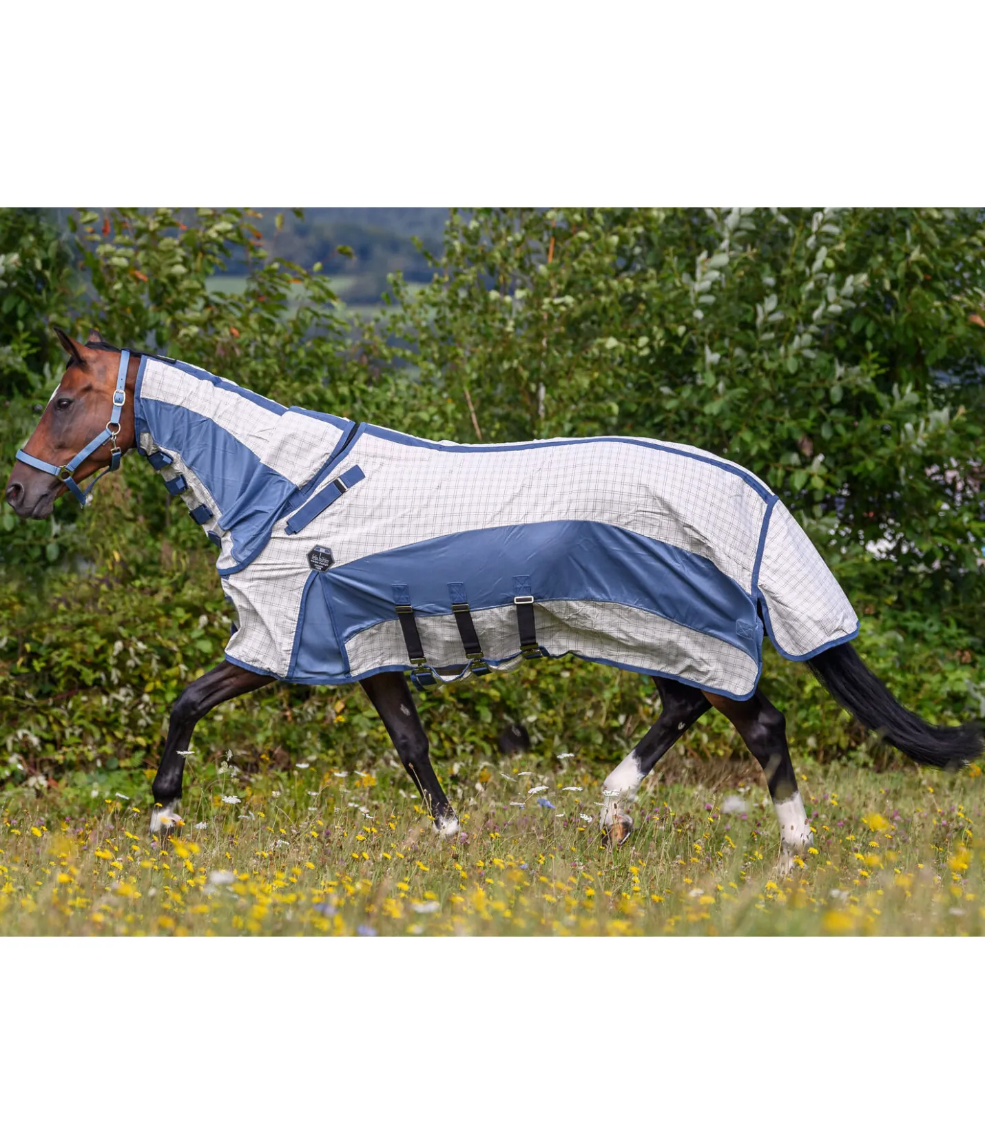 Felix Bühler Chemise anti-eczéma en coton avec couvre-cou Fynbos crème Online