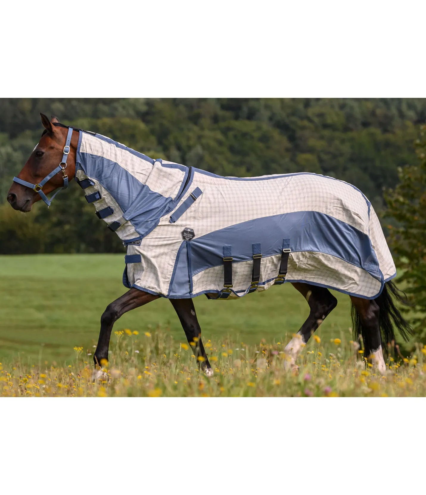 Felix Bühler Chemise anti-eczéma en coton avec couvre-cou Fynbos crème Online
