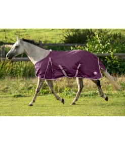 STONEDEEK Chemise anti-mouches Breeze raisin II Hot