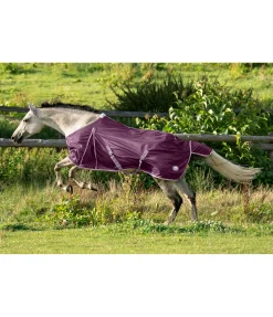 STONEDEEK Chemise anti-mouches Breeze raisin II Hot