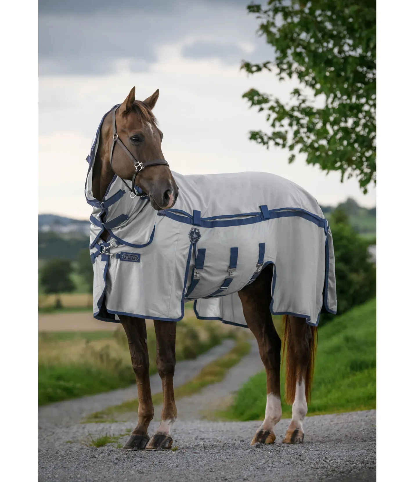 Felix Bühler Chemise anti-mouches 4 en 1 avec empiècement imperméable amovible All Weather II argenté Clearance