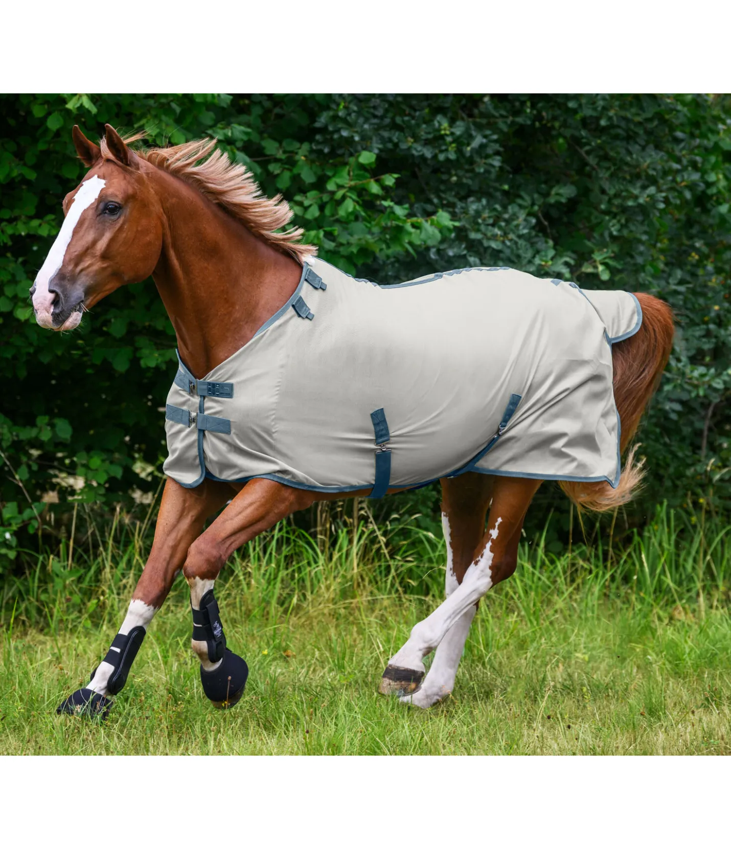 THERMO MASTER Chemise anti-mouches Zoe argenté Outlet