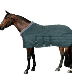 Felix Bühler Chemise d'écurie Stay Cosy thé vert Online