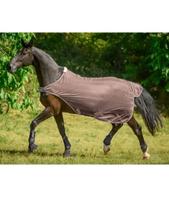 THERMO MASTER Chemise de marcheur anti-mouches Economy Light galet Clearance