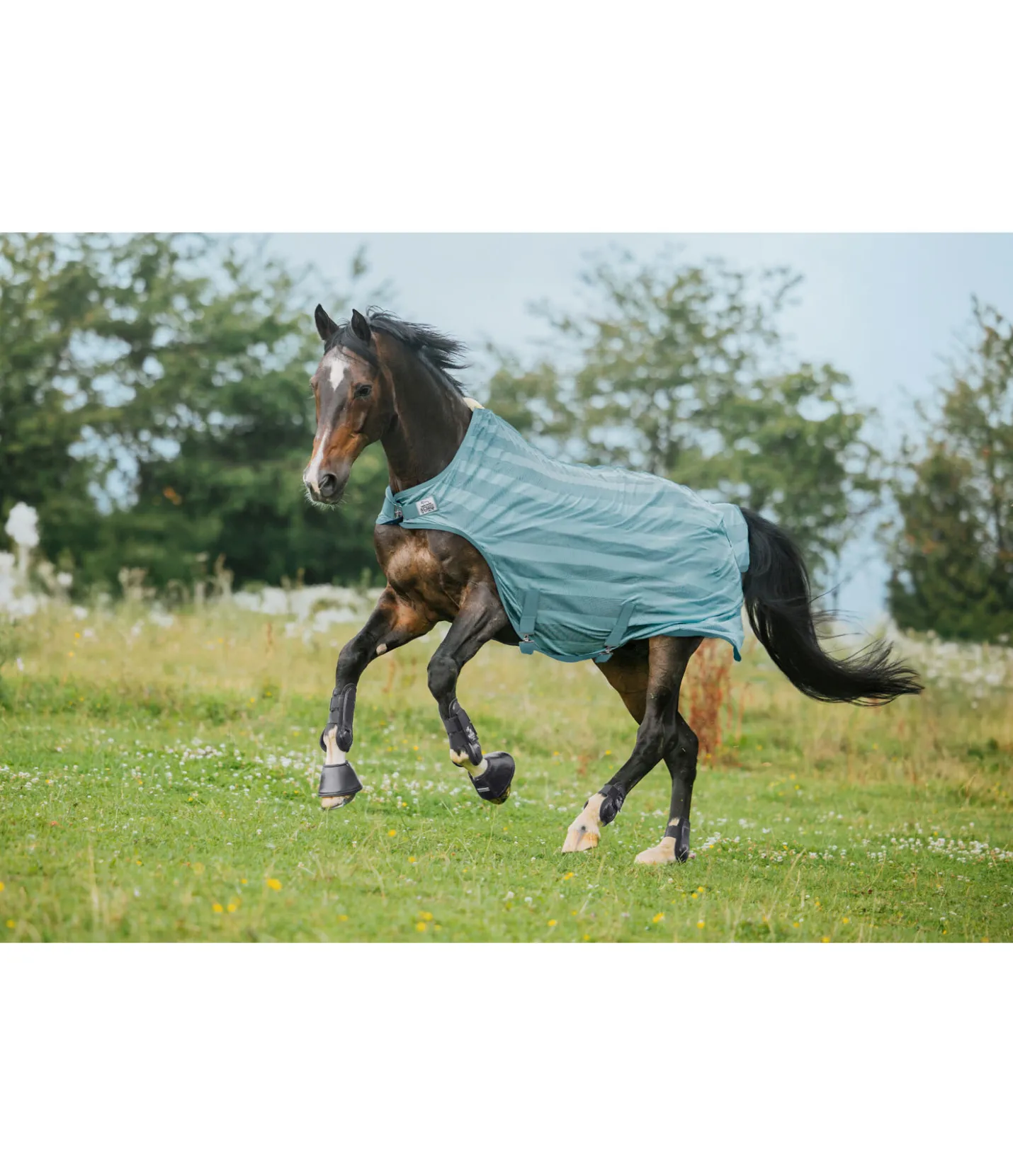 THERMO MASTER Chemise de marcheur anti-mouches Economy Light bleu atlantique Sale