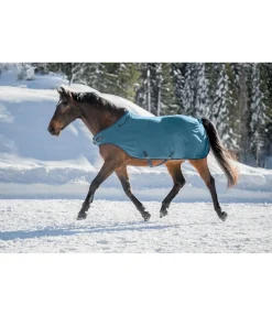 THERMO MASTER Chemise de marcheur en polaire Activity aquamarine Outlet