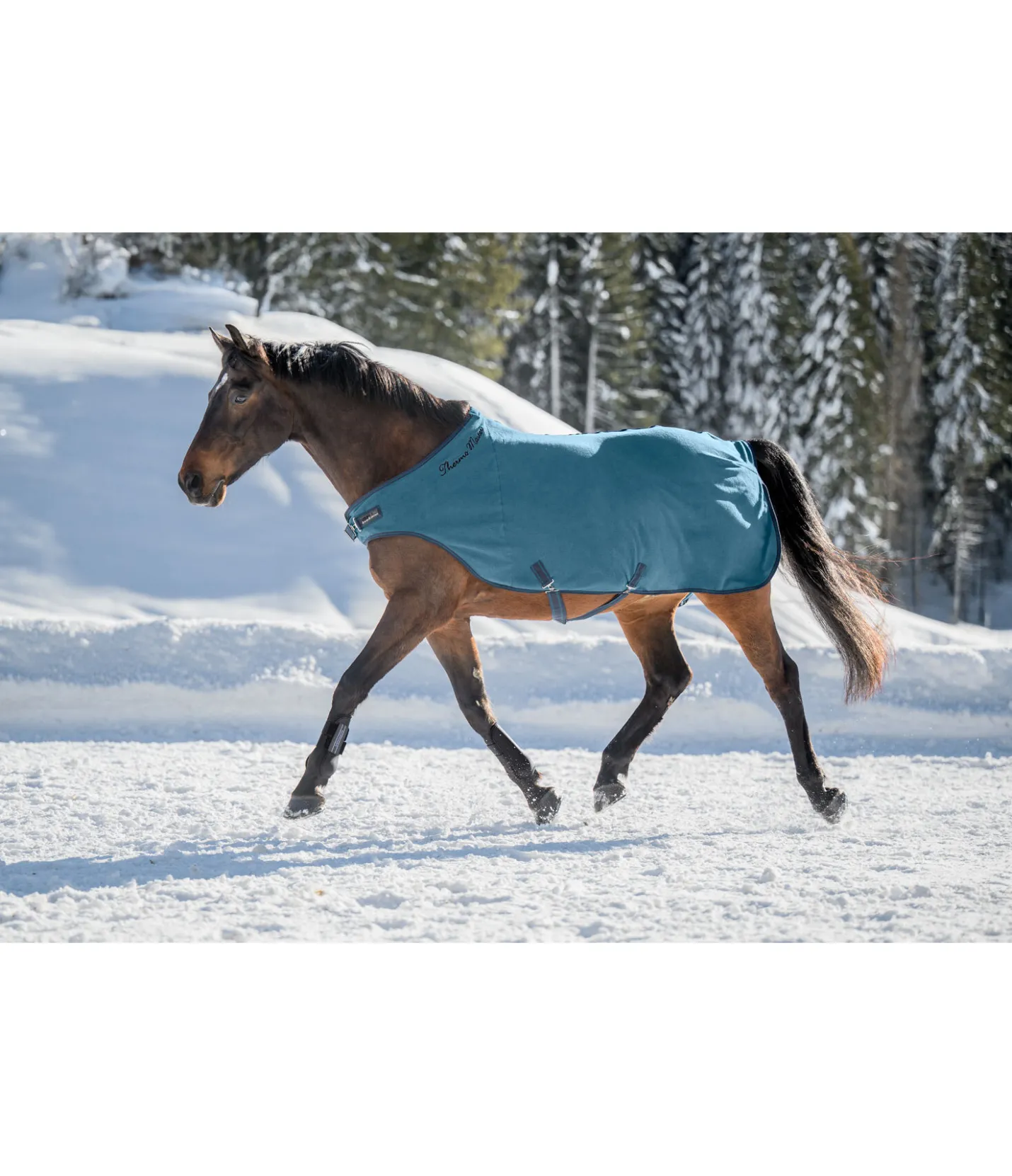THERMO MASTER Chemise de marcheur en polaire Activity aquamarine Outlet