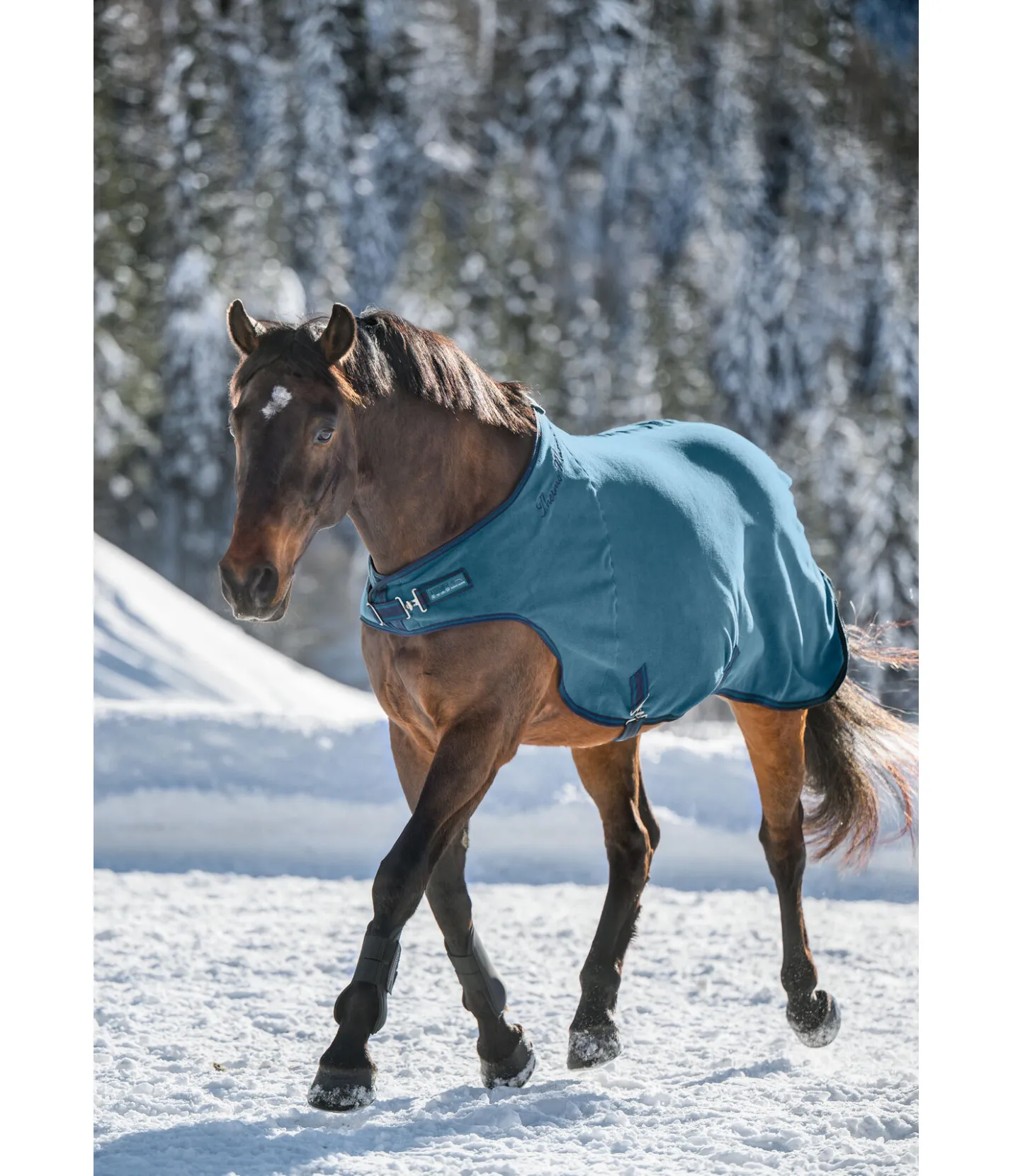 THERMO MASTER Chemise de marcheur en polaire Activity aquamarine Outlet