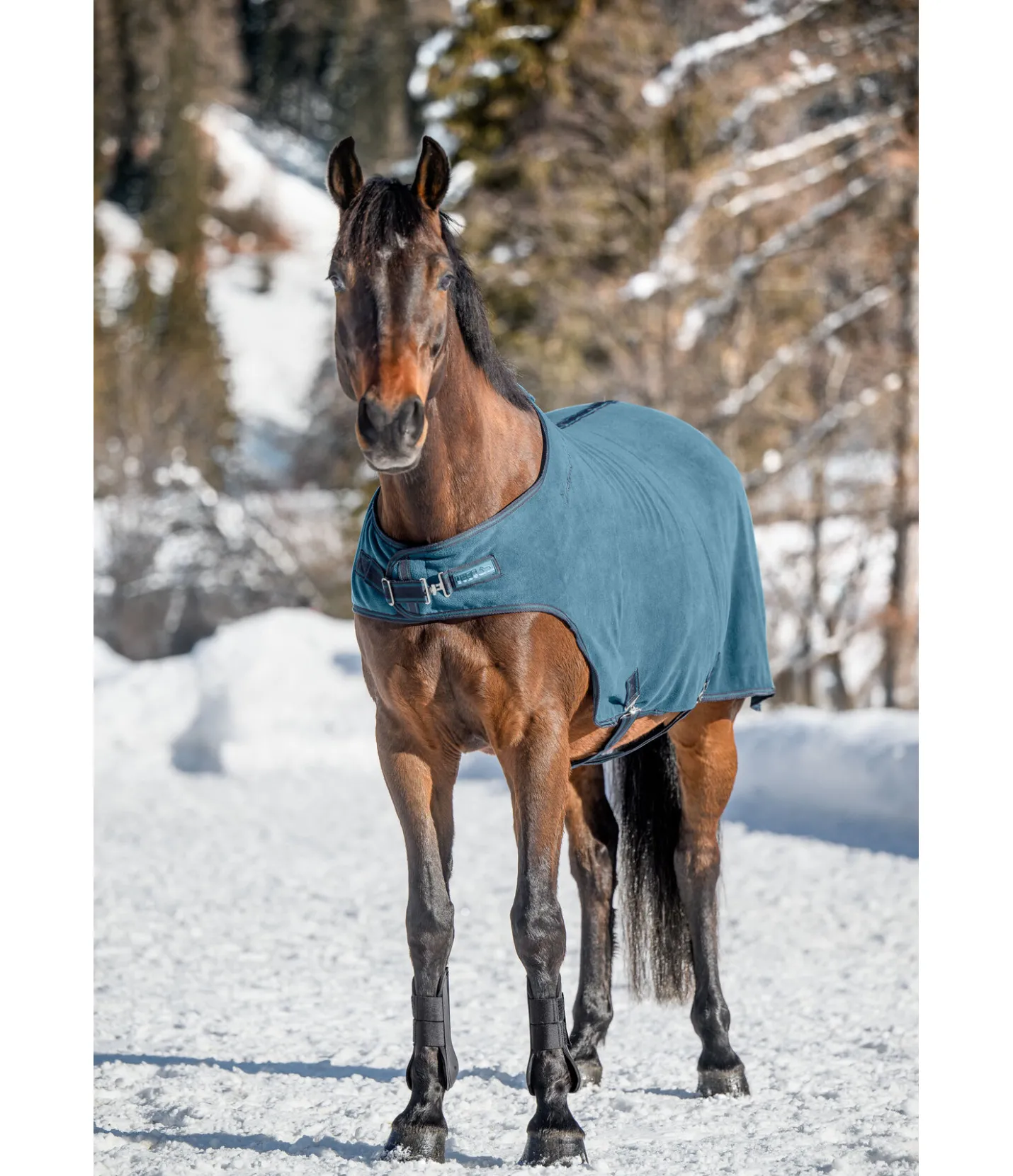 THERMO MASTER Chemise de marcheur en polaire Activity aquamarine Outlet