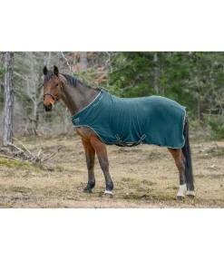 THERMO MASTER Chemise de marcheur en polaire Activity vert tropical Discount