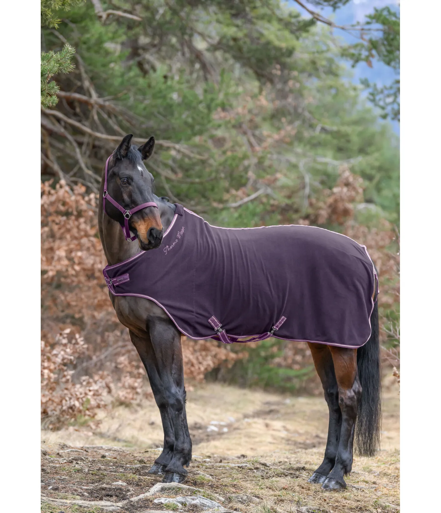 THERMO MASTER Chemise de marcheur en polaire Activity baie noir Outlet
