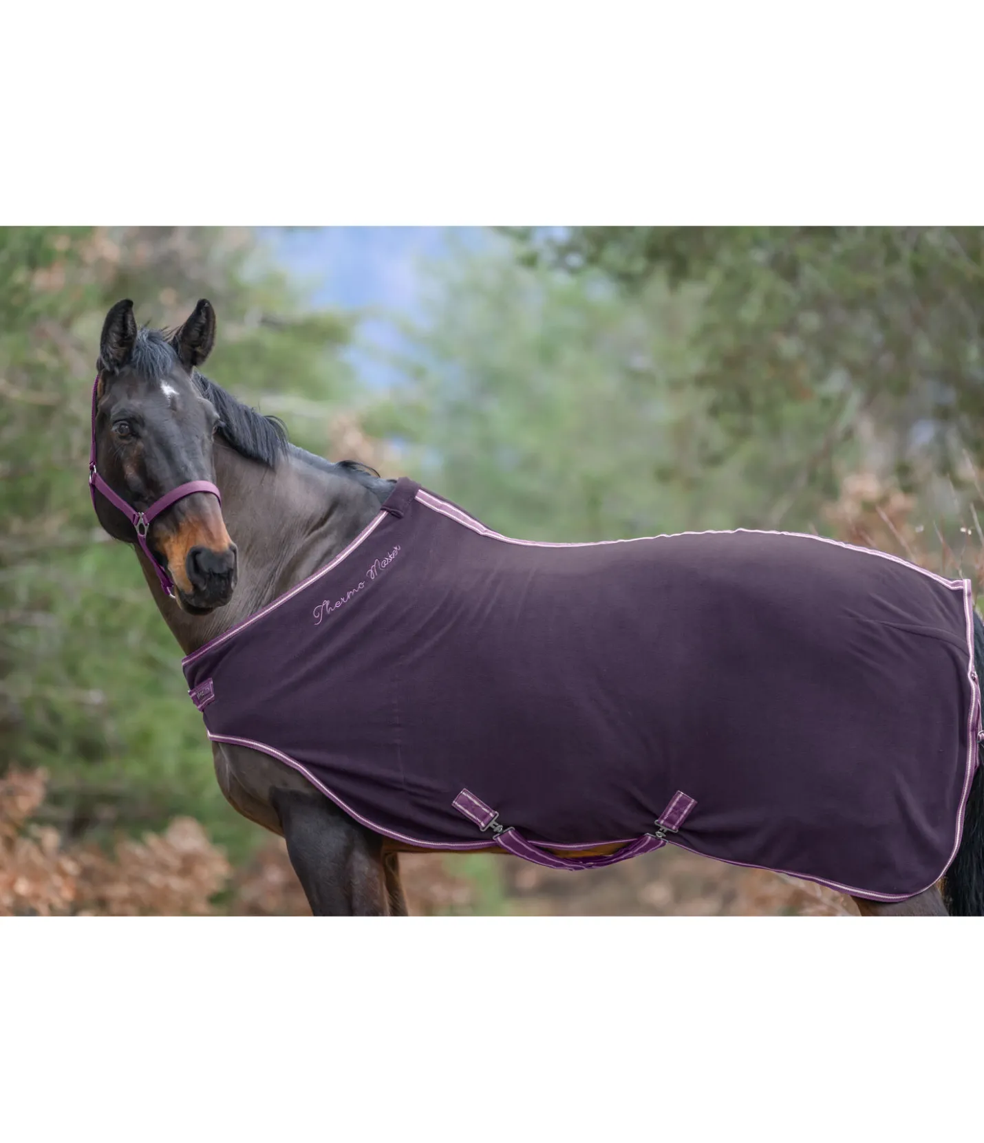 THERMO MASTER Chemise de marcheur en polaire Activity baie noir Outlet
