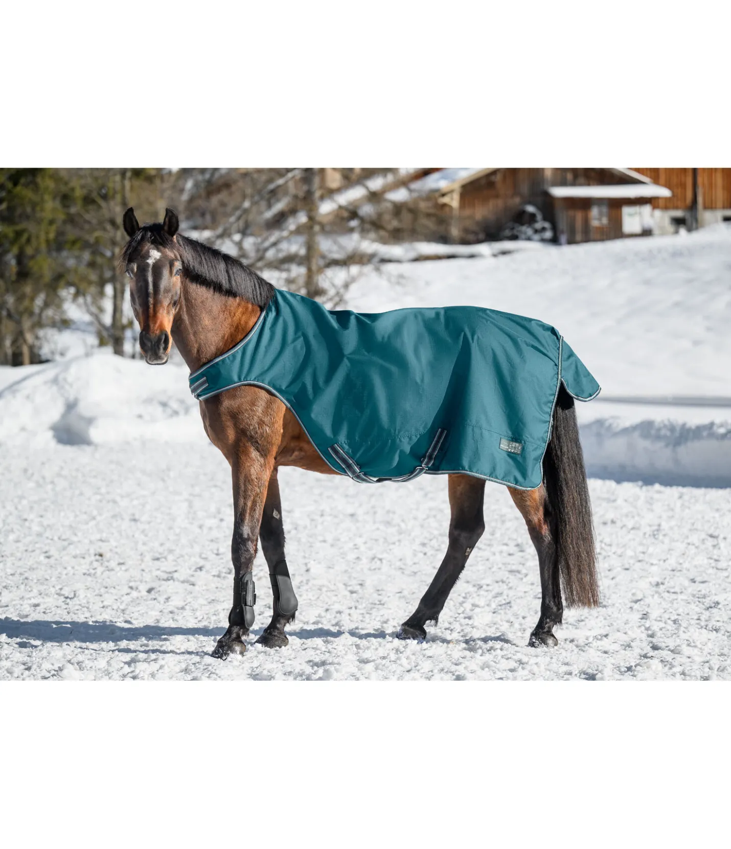 THERMO MASTER Chemise de marcheur imperméable Kasimo II, 0 g vert tropical Sale
