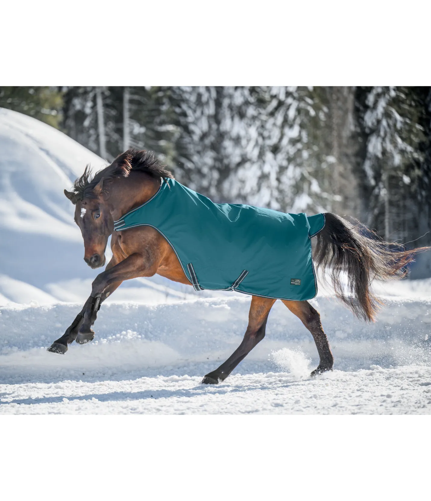 THERMO MASTER Chemise de marcheur imperméable Kasimo II, 0 g vert tropical Sale