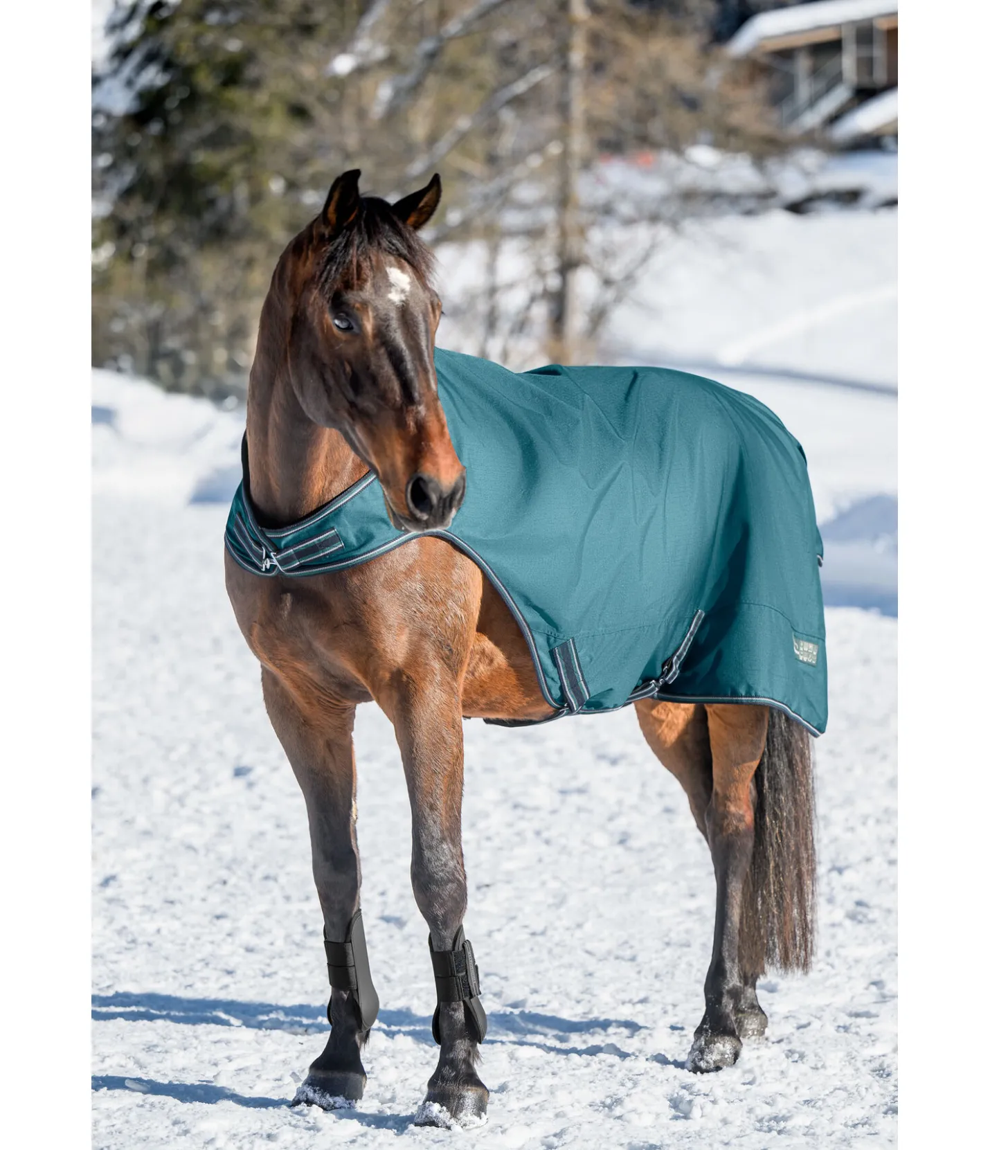 THERMO MASTER Chemise de marcheur imperméable Kasimo II, 0 g vert tropical Sale