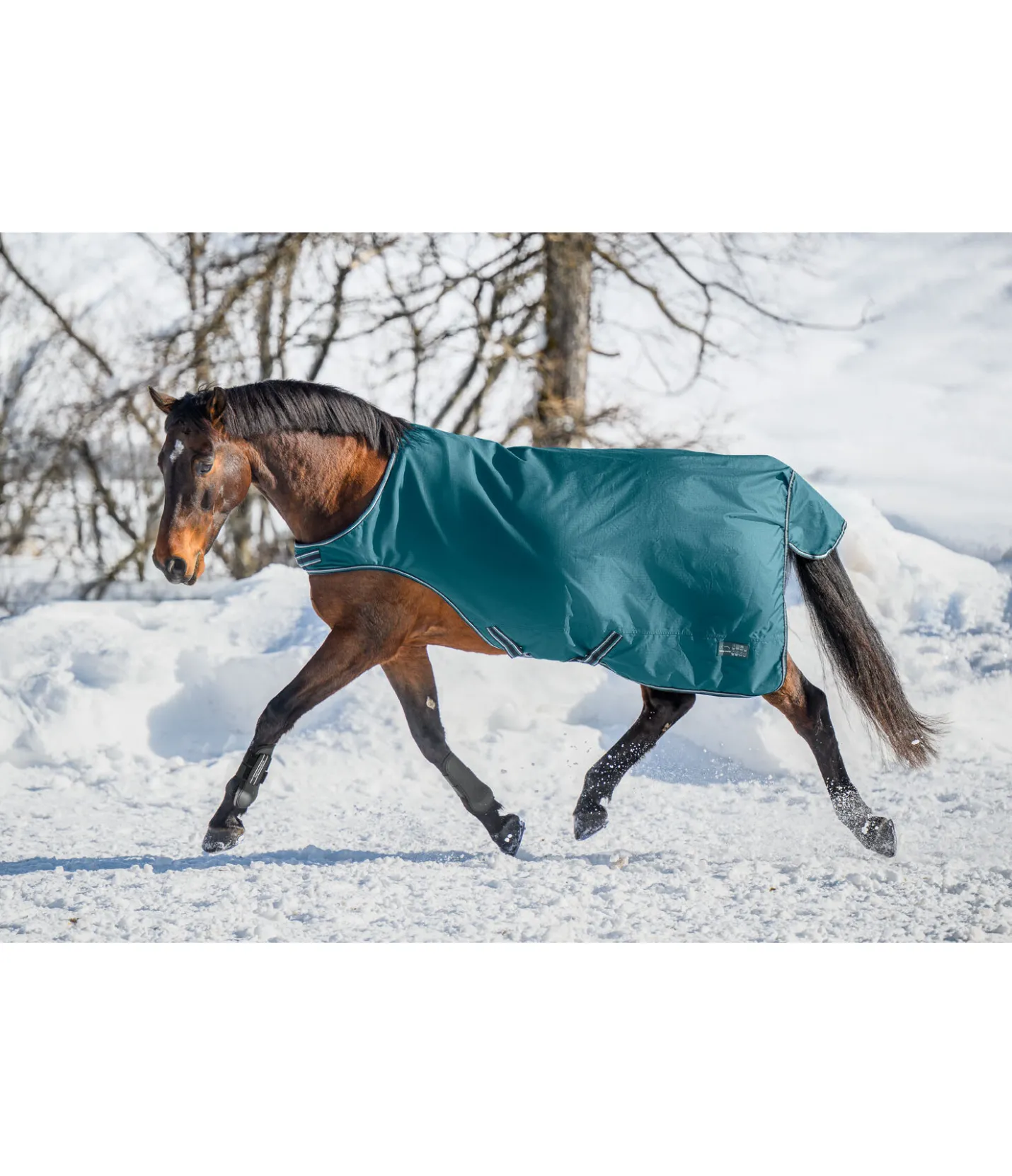 THERMO MASTER Chemise de marcheur imperméable Kasimo II, 0 g vert tropical Sale