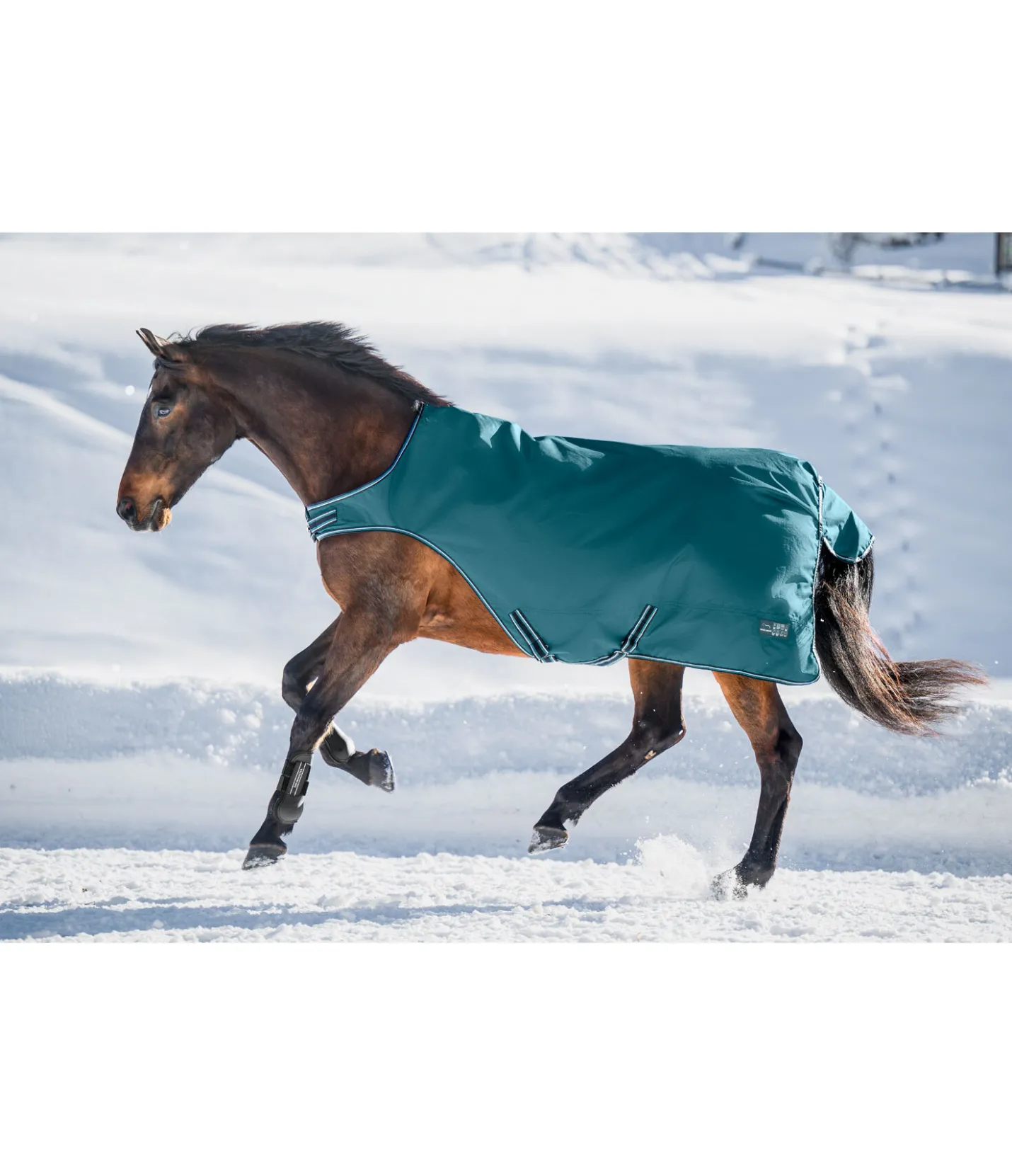 THERMO MASTER Chemise de marcheur imperméable Kasimo II, 0 g vert tropical Sale