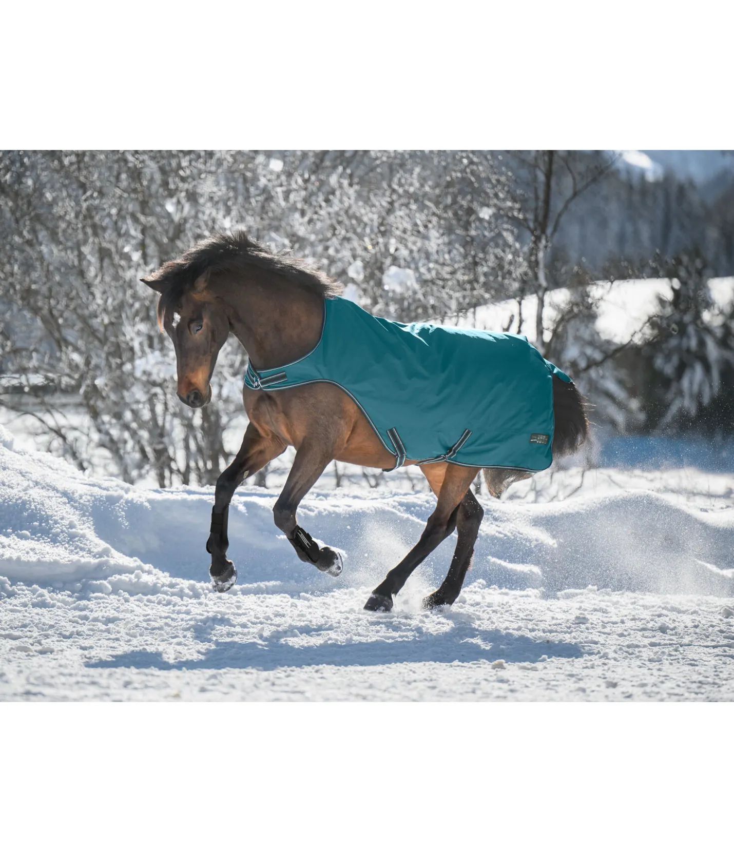 THERMO MASTER Chemise de marcheur imperméable Kasimo II, 0 g vert tropical Sale