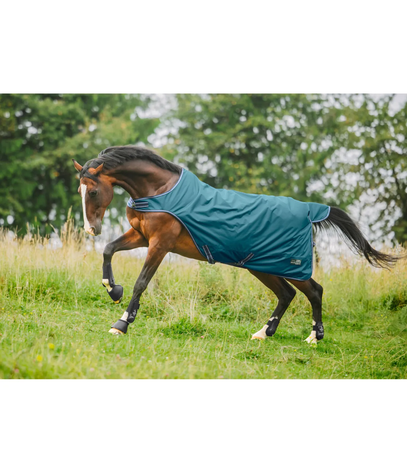 THERMO MASTER Chemise de marcheur imperméable Kasimo II, 0 g vert tropical Sale