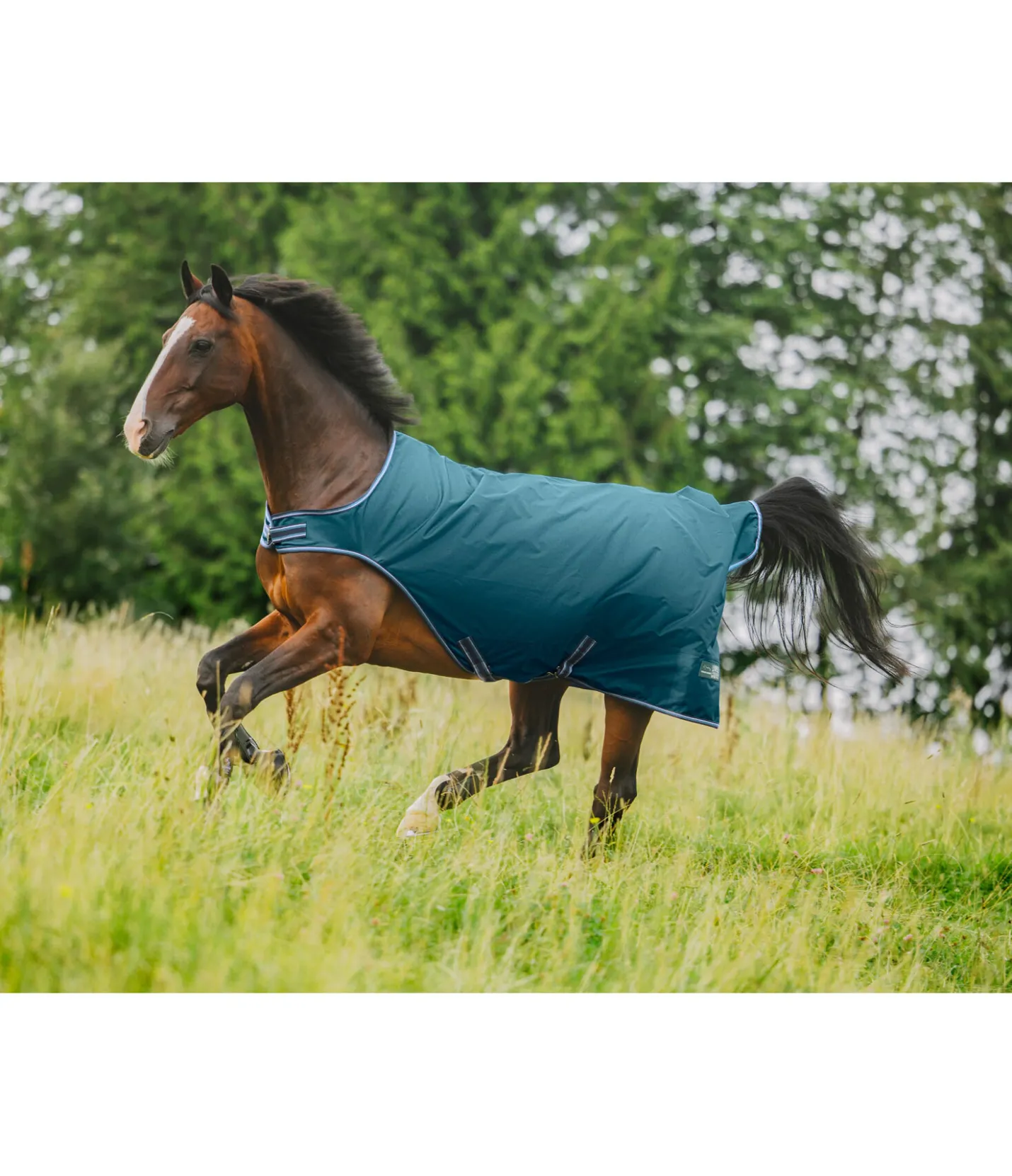 THERMO MASTER Chemise de marcheur imperméable Kasimo II, 0 g vert tropical Sale